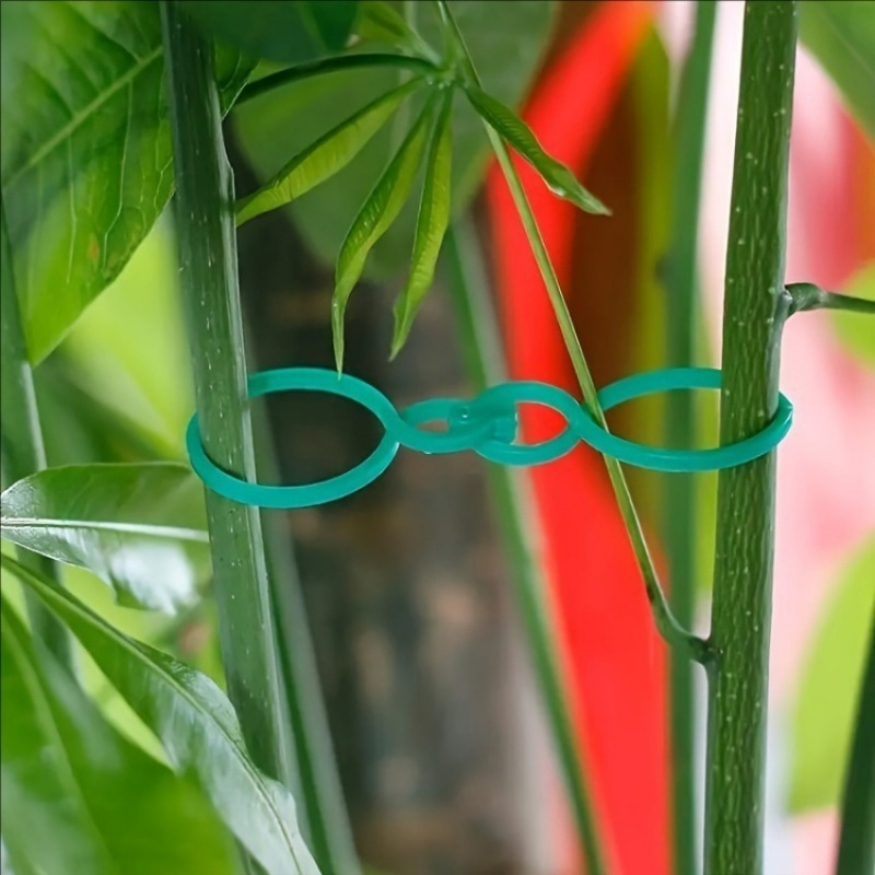 Набор для поддержки растений в – обзор и цена Vine Climbing Plastic