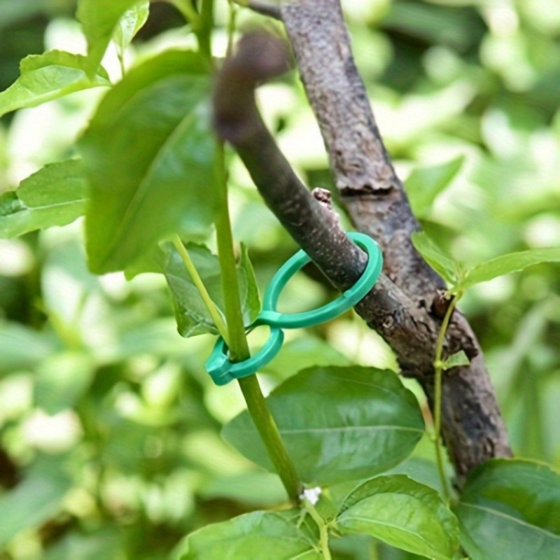 Набор для поддержки растений в – обзор и цена Vine Climbing Plastic