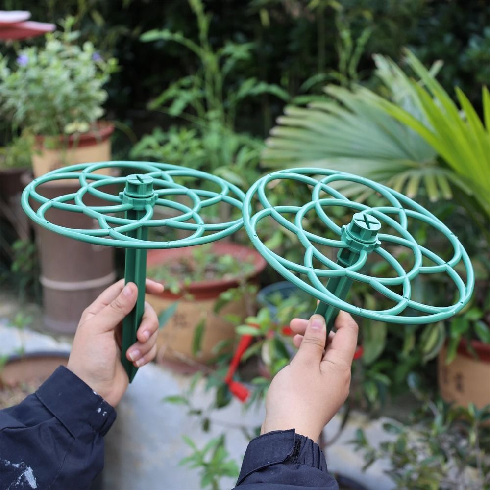 S/M/L пластиковая садовая штаб – обзор и цена Vine Climbing Plastic